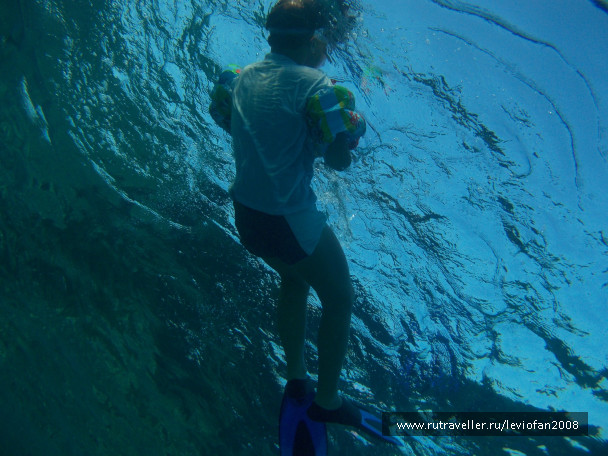 photo 438217