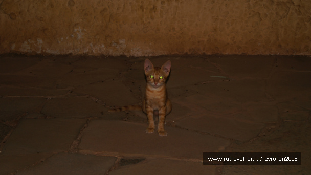 photo 415461
