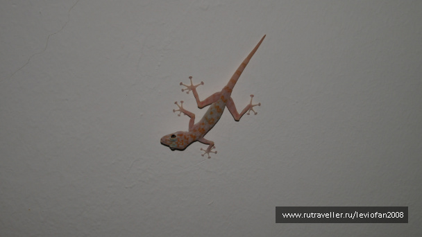 photo 415462