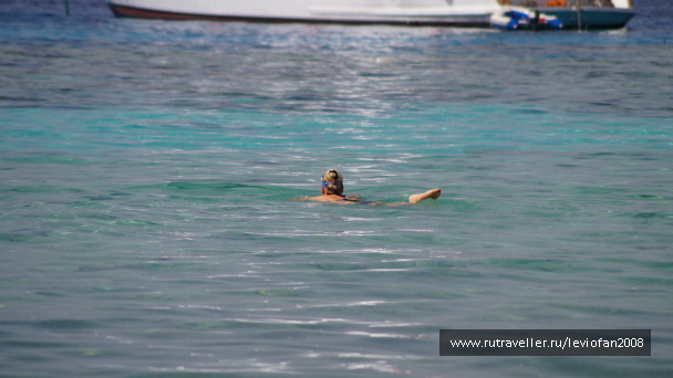 photo 415477