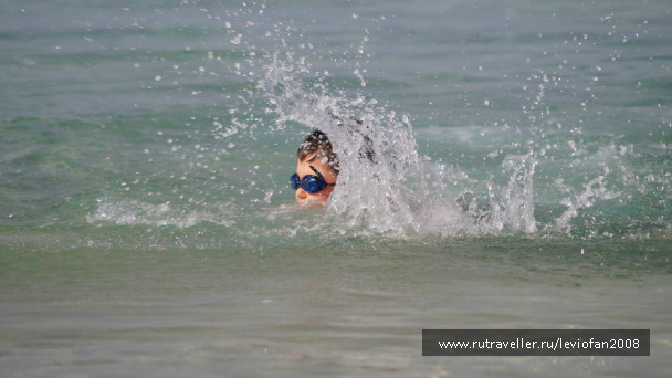 photo 415482
