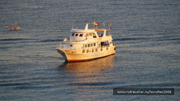photo 428084
