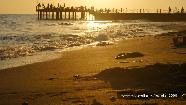 photo 1107290