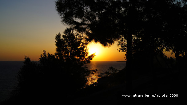 photo 1107344