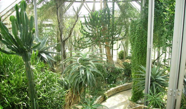 IMGP0677