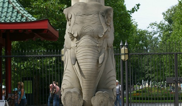 IMGP0815