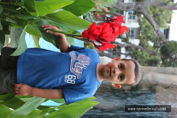 photo 590731
