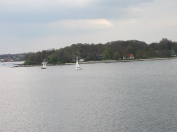 photo 424690