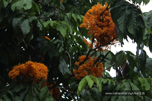 photo 706929