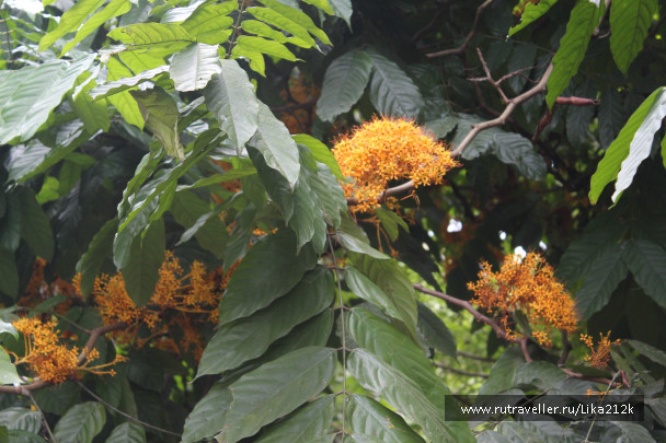photo 706932