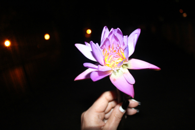photo 708977