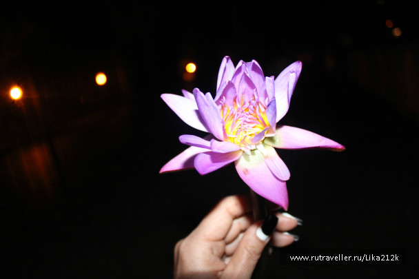 photo 708977