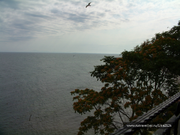 photo 706901