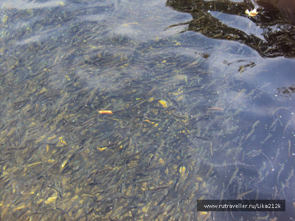 photo 707271