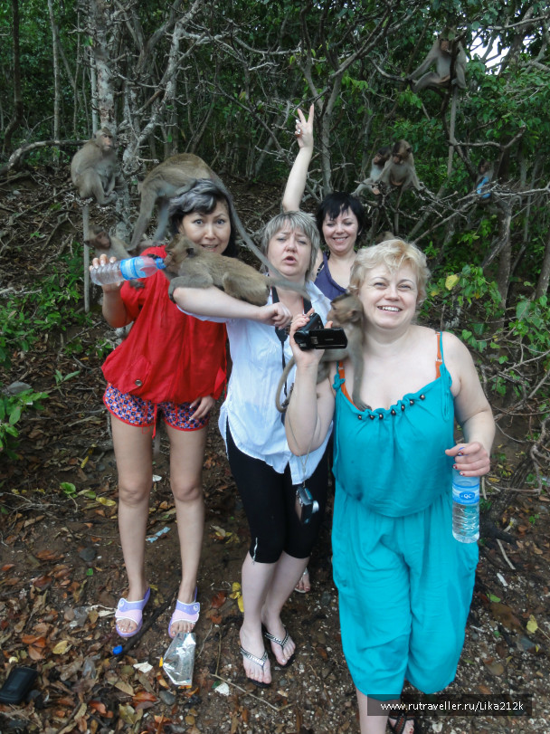 photo 708114