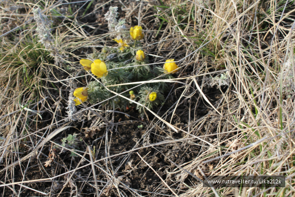 photo 708157