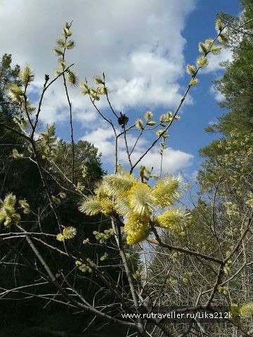 photo 733750