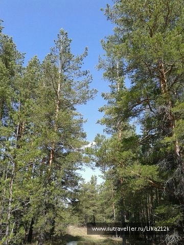 photo 734746