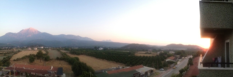 photo 819609