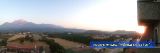 photo 826284