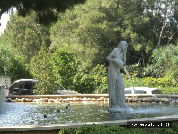 photo 299520