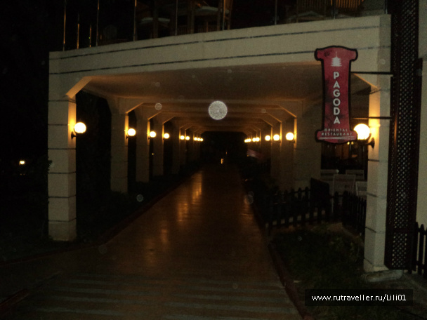 photo 299522