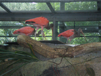photo 492530
