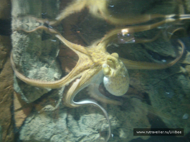 photo 492531