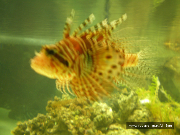 photo 492532