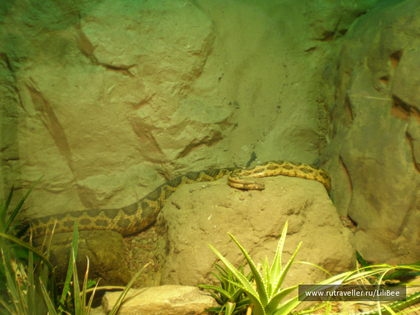 photo 492533