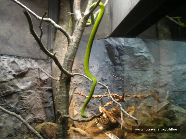 photo 492534