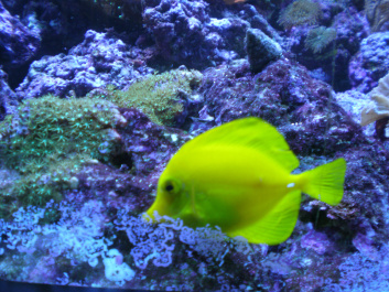 photo 492535