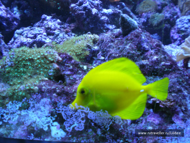 photo 492535