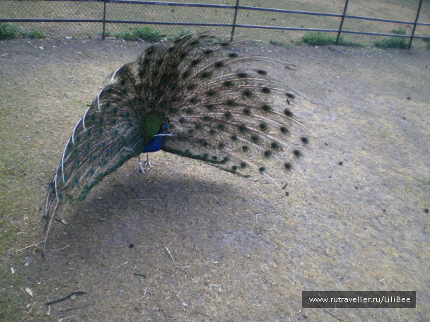 photo 492539