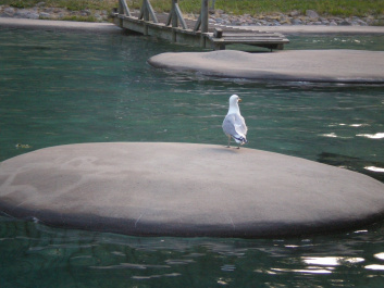 photo 492541