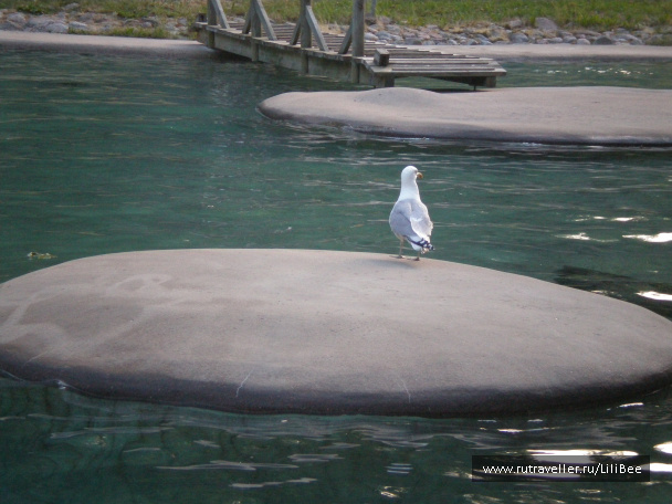 photo 492541