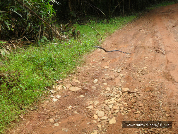 photo 47179