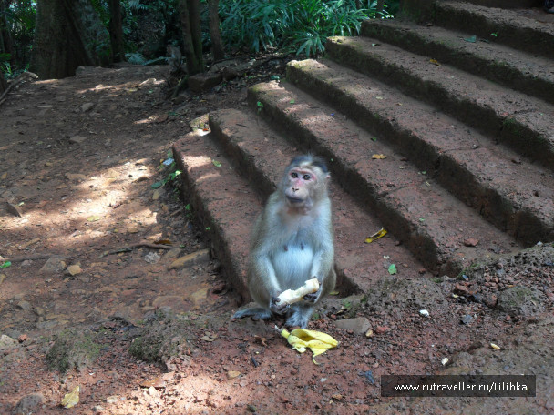 photo 47182