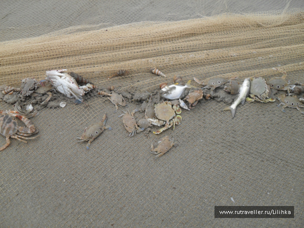 photo 47195