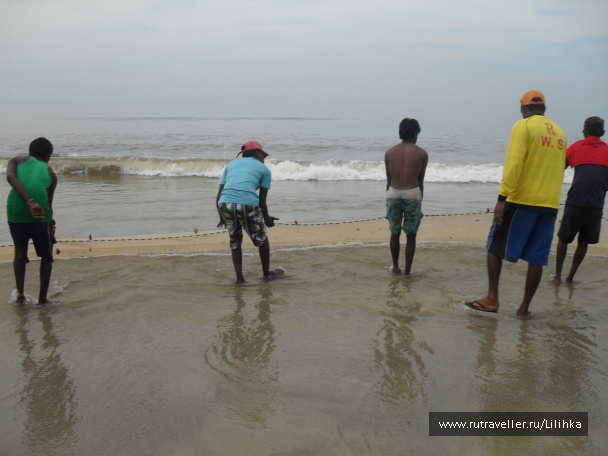 photo 47196
