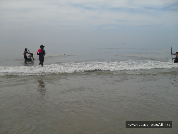 photo 47198