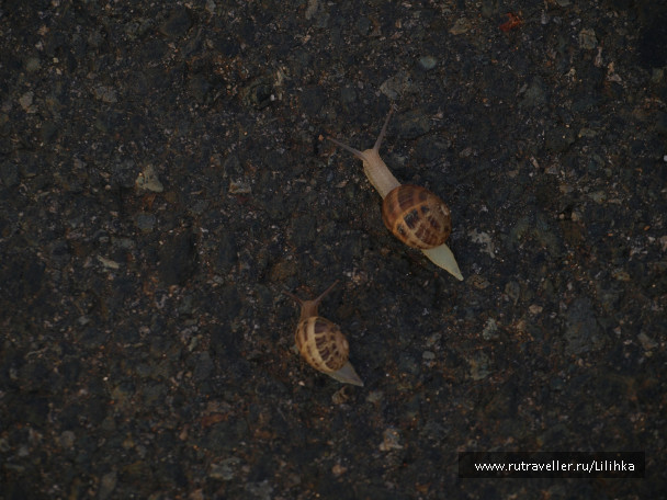 photo 188723