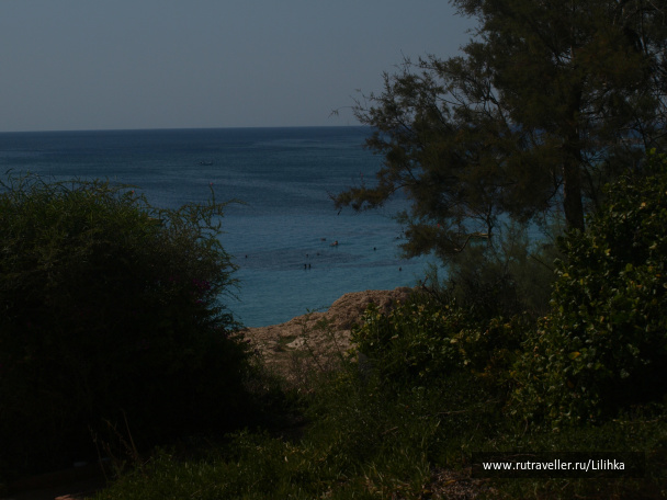 photo 188757