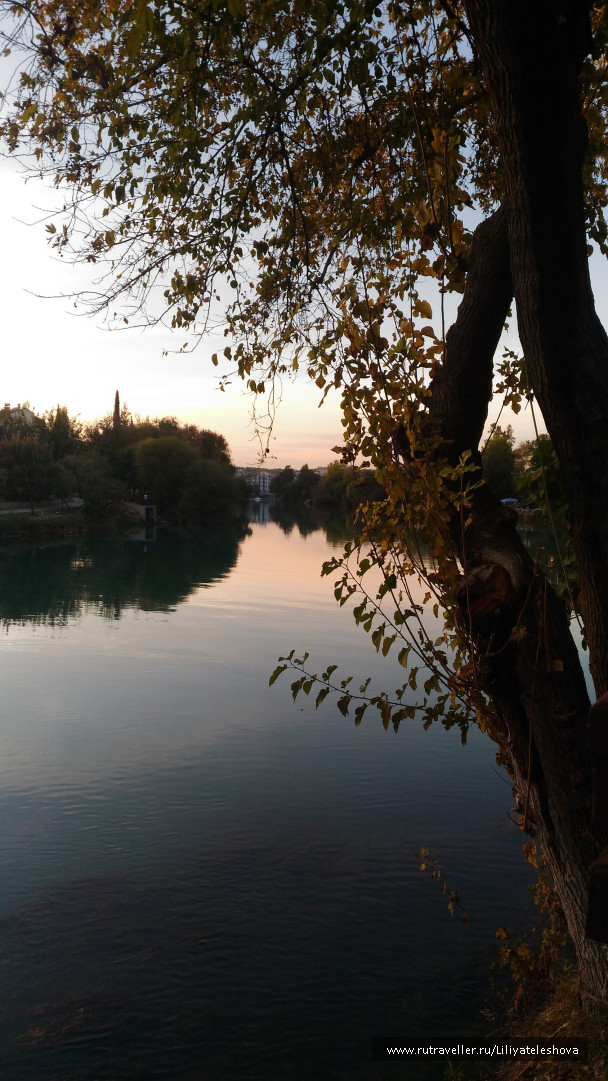 photo 1399709