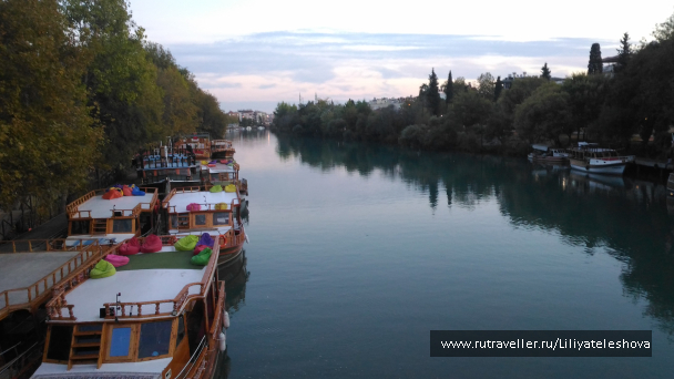 photo 1399711
