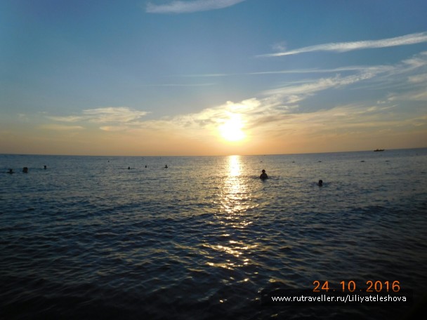 photo 1399718
