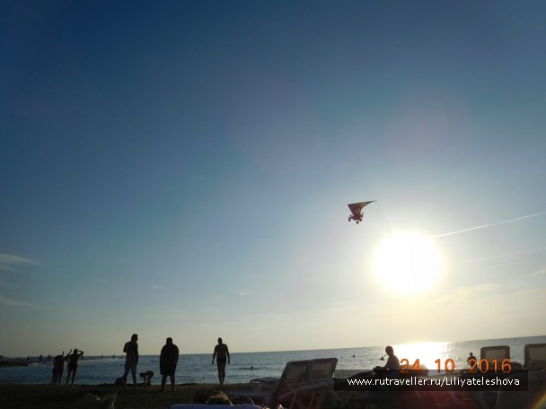 photo 1399726