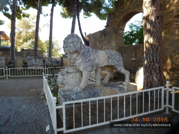 photo 1399733