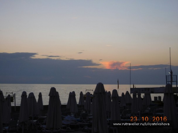 photo 1399739