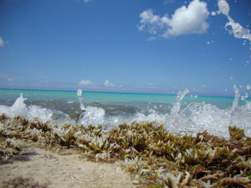 photo 406223